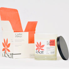 Load image into Gallery viewer, 8oz “Our Desert” Wholesale Soy Wax Candles (Qty 24)