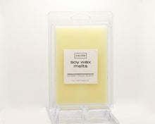 Load image into Gallery viewer, Mug & Brush Soy Wax Melts