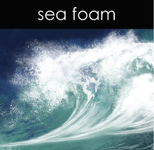 Load image into Gallery viewer, Sea Foam Reed Diffuser