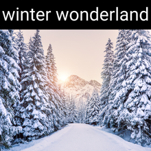 Load image into Gallery viewer, Winter Wonderland Candle