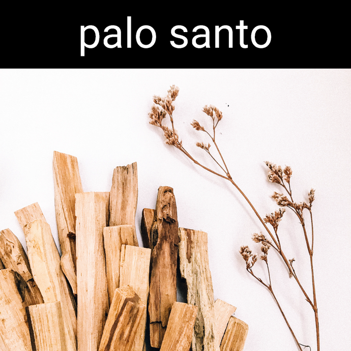 Palo Santo Candle