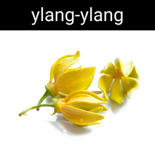 Load image into Gallery viewer, Ylang Ylang Candle