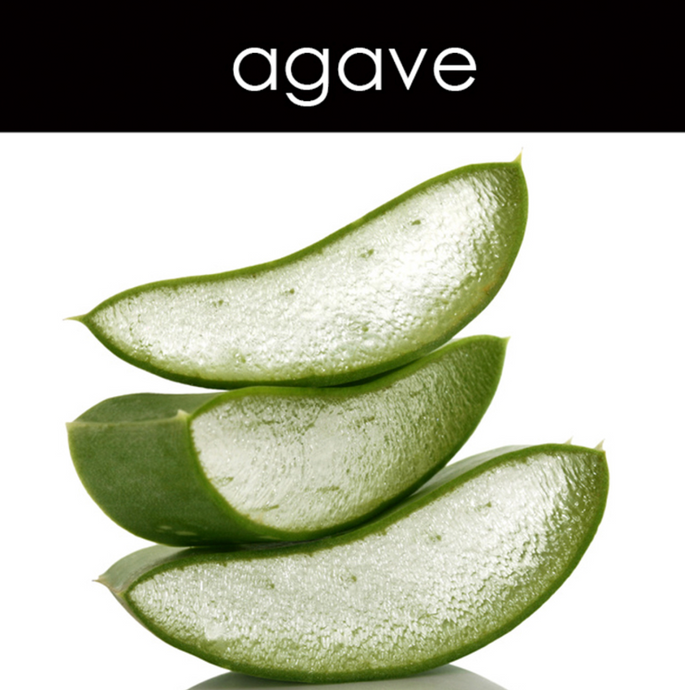 Agave Candle