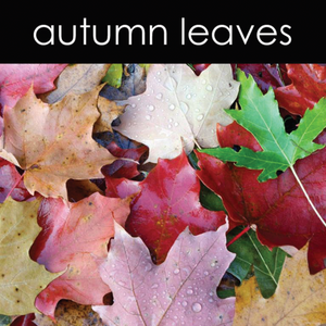 Autumn Leaves Candle (Seasonal)