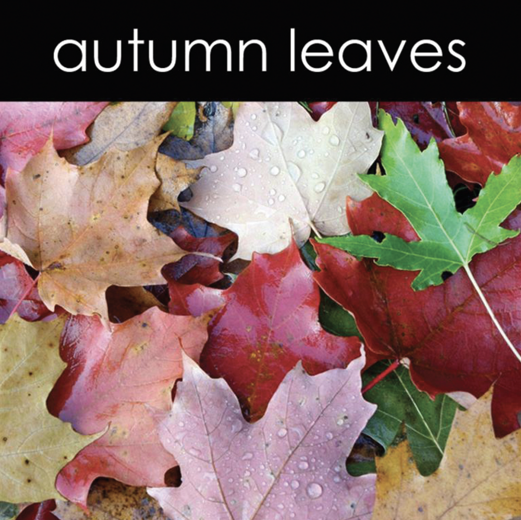 Autumn Leaves Reed Diffuser (Seasonal)