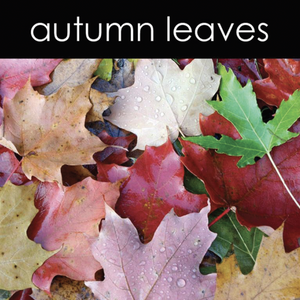 Autumn Leaves Wax Melts (Seasonal)