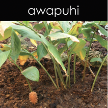 Load image into Gallery viewer, Awapuhi Fragrance Oil