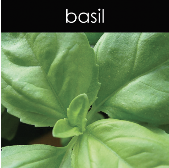 Basil Candle