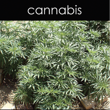 Load image into Gallery viewer, Cannabis Fragrance Oil