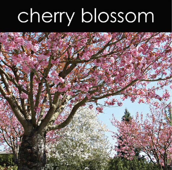 Cherry Blossom Aromatic Mist