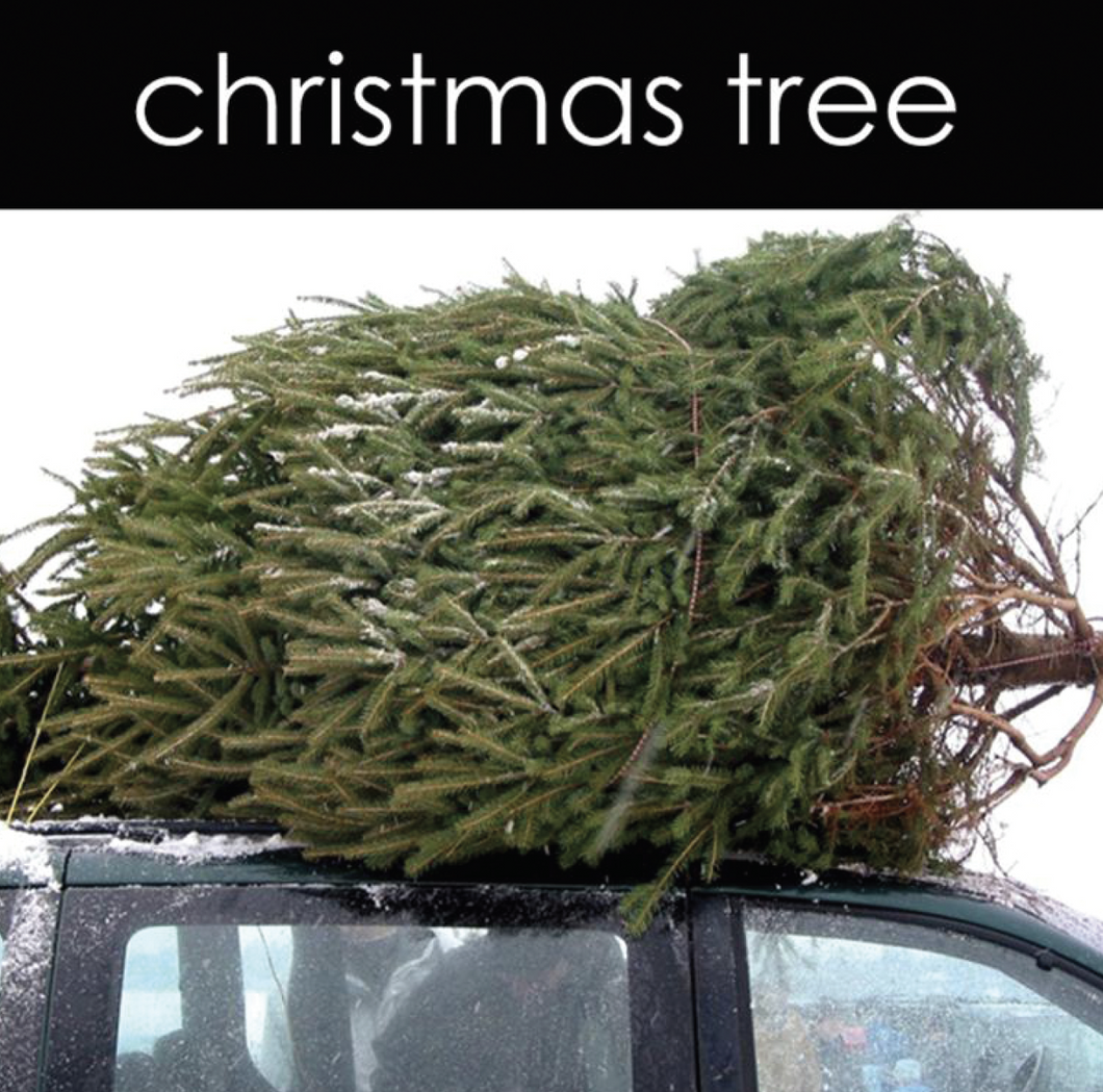 Christmas Tree Reed Diffuser (Seasonal)