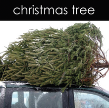 Load image into Gallery viewer, Christmas Tree Soy Wax Melts (Seasonal)