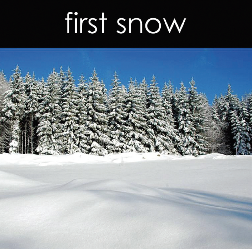 First Snow Reed Diffuser (Seasonal)