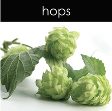 Load image into Gallery viewer, Hops Soy Wax Melts