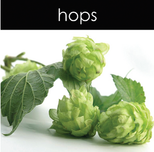 Hops Candle