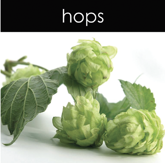 Hops Fragrance Oil