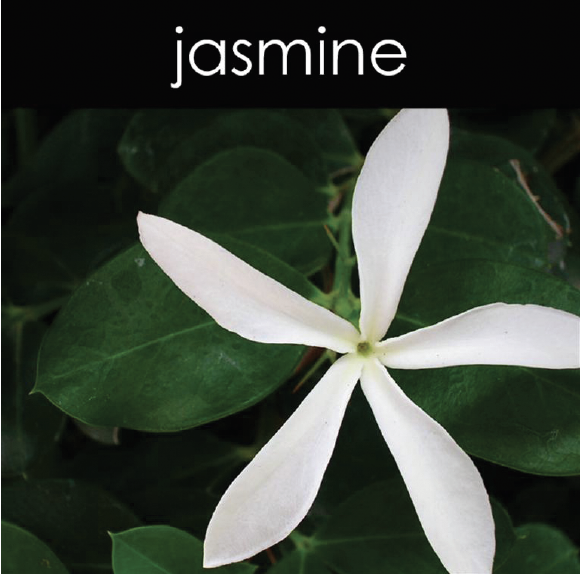 Jasmine Soy Wax Melts