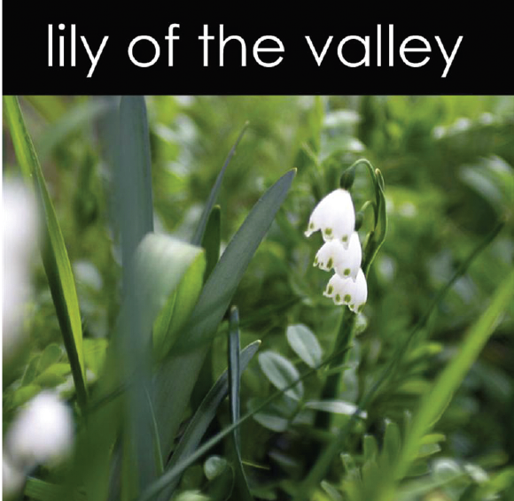 Lily of the Valley Candle