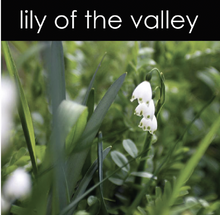 Load image into Gallery viewer, Lily of the Valley Reed Diffuser