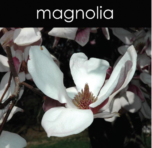 Magnolia Candle