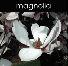 Load image into Gallery viewer, Magnolia Fragrance Oil