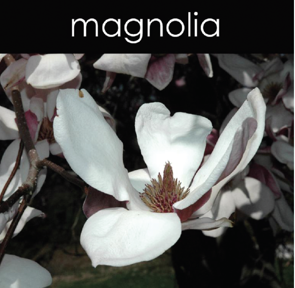 Magnolia Reed Diffuser
