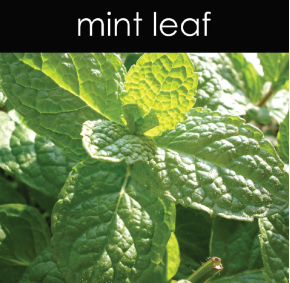 Mint Leaf Candle