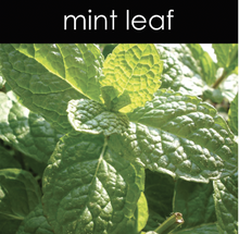 Load image into Gallery viewer, Mint Leaf Soy Wax Melts