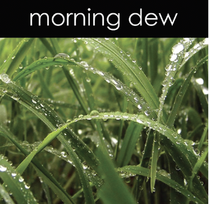 Morning Dew Aromatic Mist