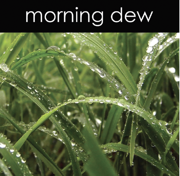 Morning Dew Fragrance Oil