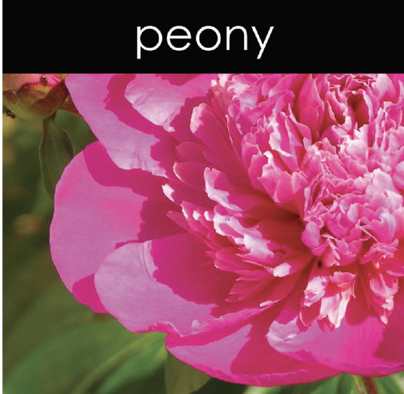 Peony Reed Diffuser