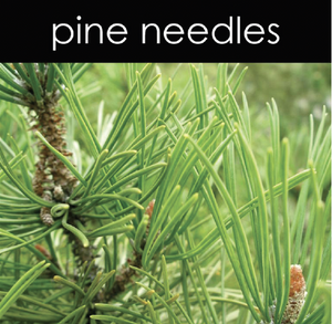 Pine Needles Reed Diffuser
