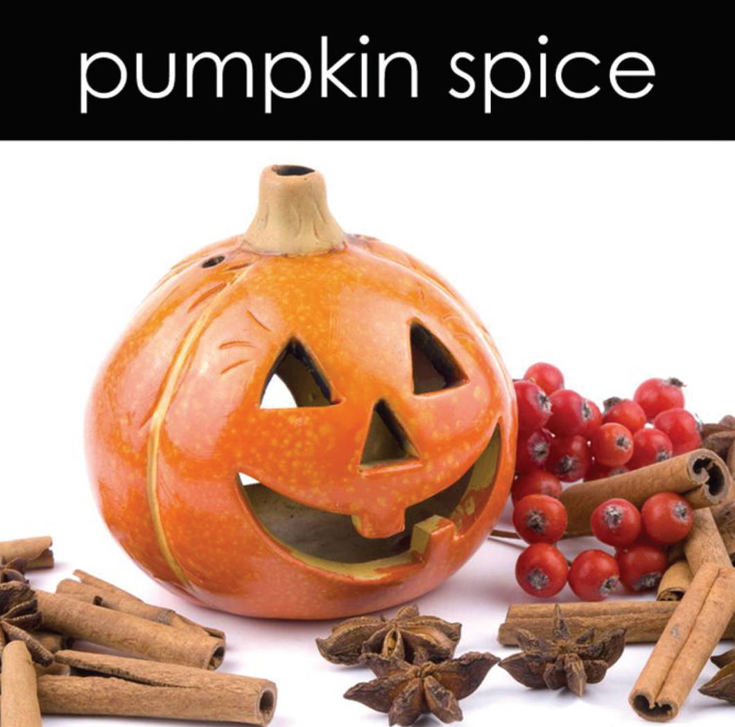 Pumpkin Spice Candle (Seasonal)
