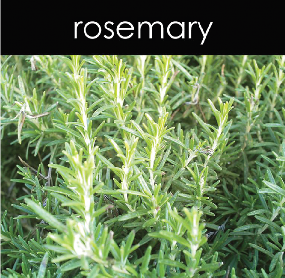 Rosemary Candle