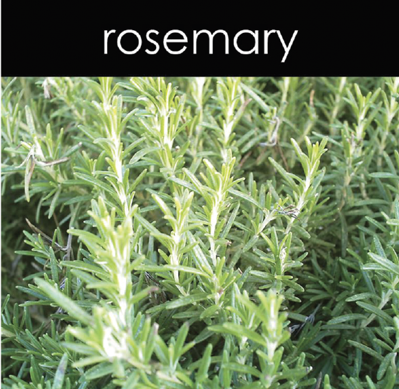 Rosemary Reed Diffuser