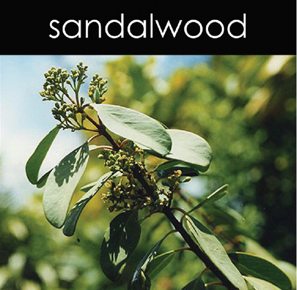 Sandlewood Candle