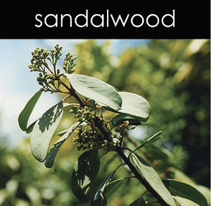 Sandlewood Reed Diffuser