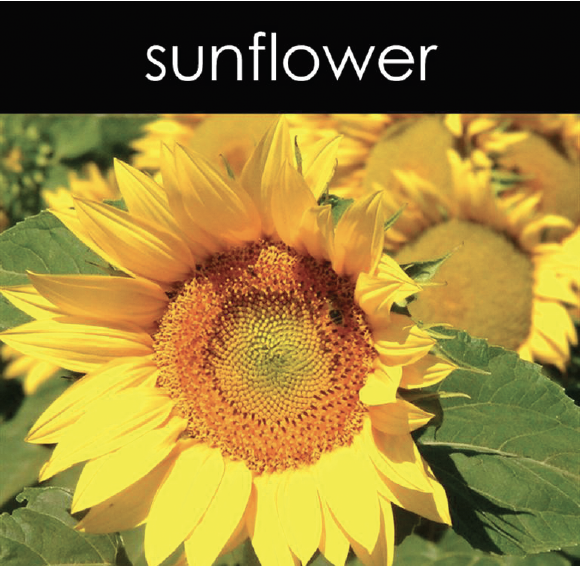 Sunflower Fragrance Oil