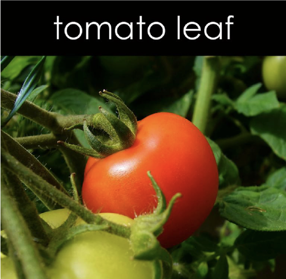 Tomato Leaf Aromatic Mist