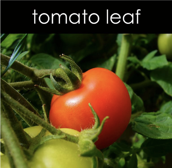 Tomato Leaf Soy Wax Melts