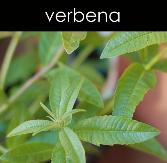 Verbena Candle