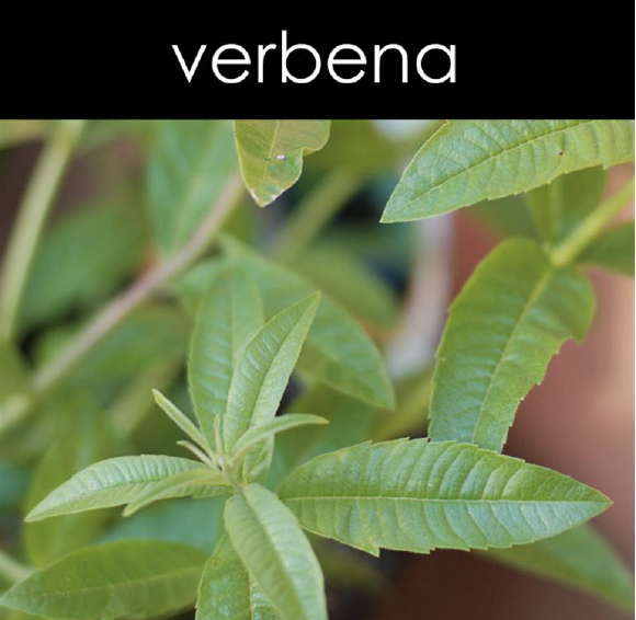 Verbena Reed Diffuser