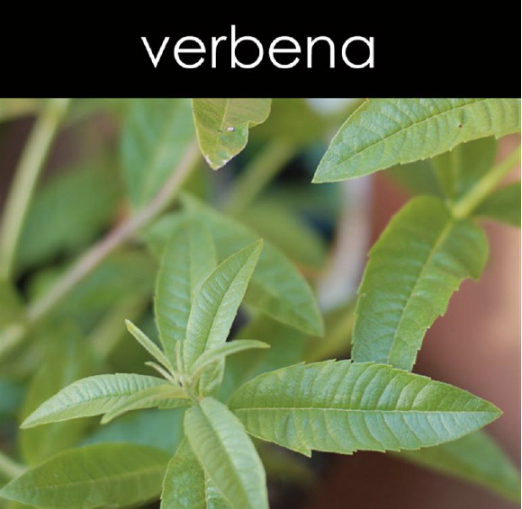 Verbena Aromatic Mist