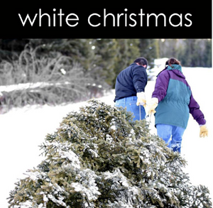White Christmas Reed Diffuser (Seasonal)