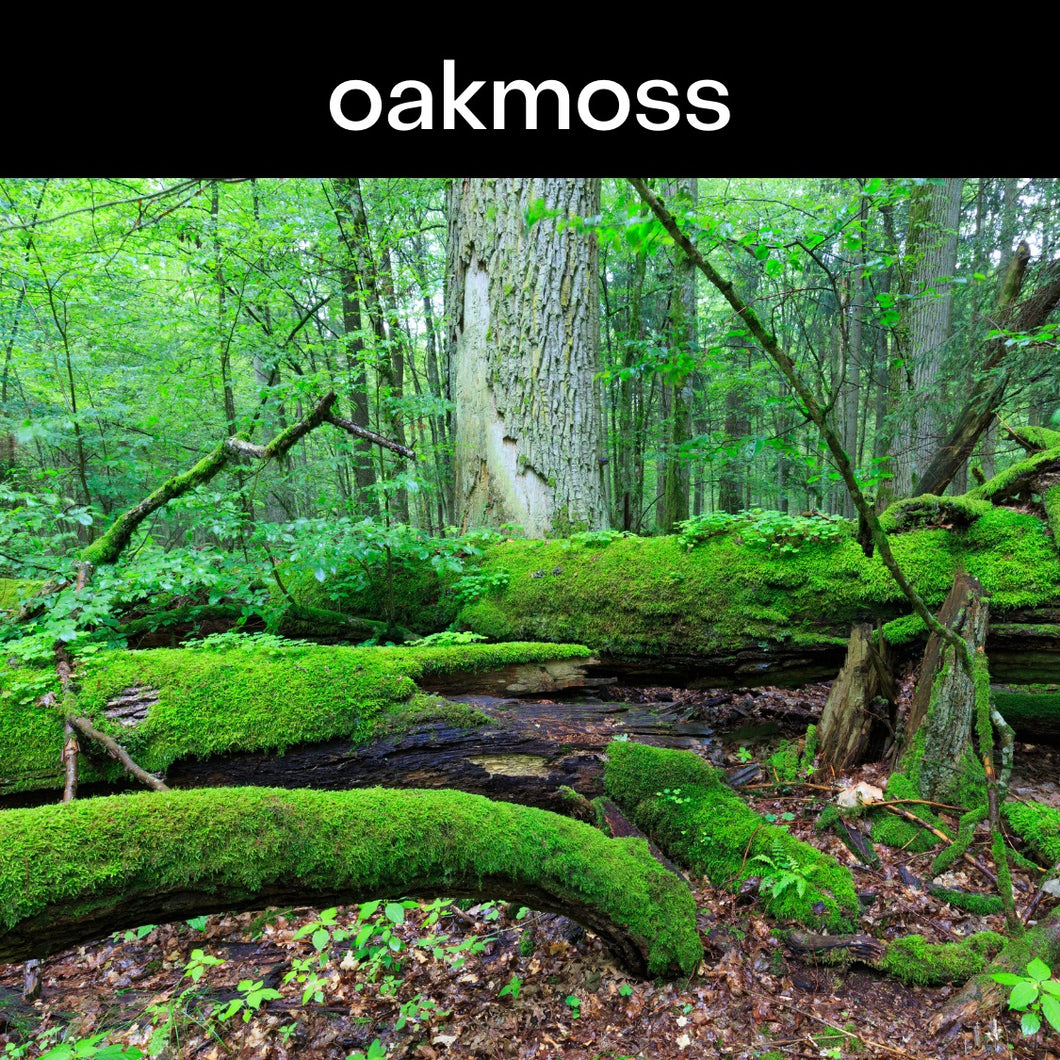 Oak Moss Candle